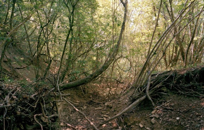 Istria_Segni-dall'Argilla_09