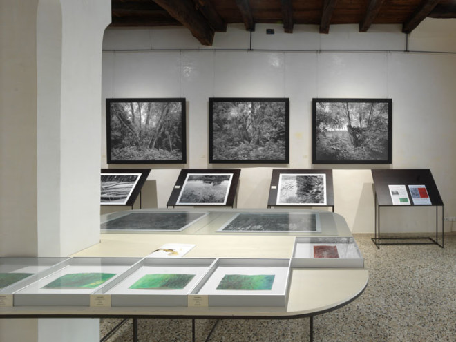 09-Foto-mostra-Dall'Arche---Stpjnic_0042