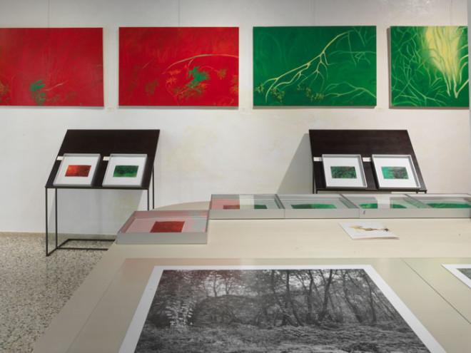 16-Foto-mostra-Dall'Arche---Stpjnic_0066