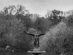 central-park-26-11-2015-emma-stebbin_the-angel-of-the-waters